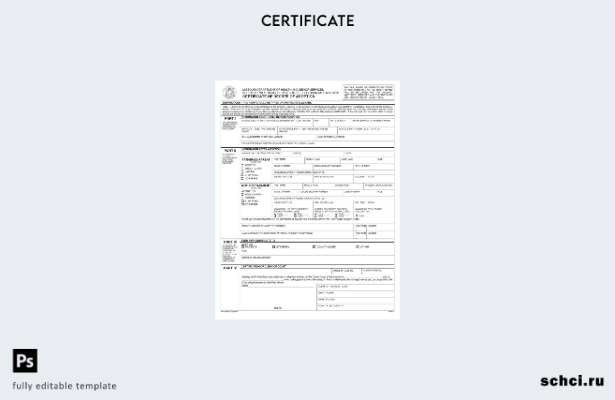цифровая загрузка шаблона сертификата об усыновлении Министерства здравоохранени